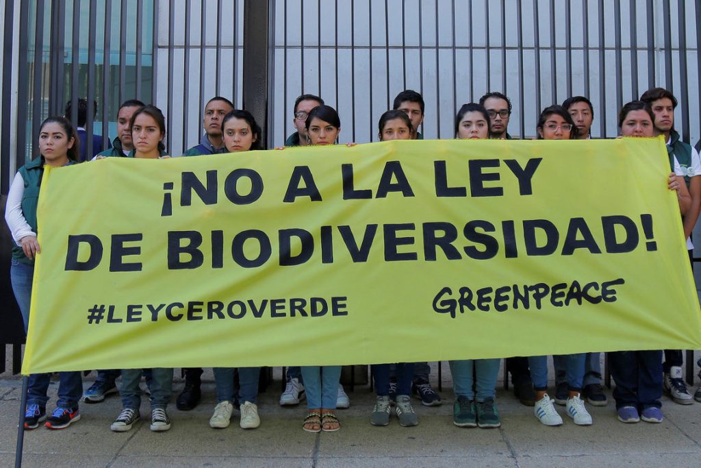 Ante la polémica de Ley General de Biodiversidad, ONGs buscan derogar esta propuesta que, asumen, tiene intereses particulares.