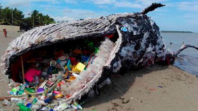 Día Mundial del Medio Ambiente 2018 el tema será “Sin Contaminación por Plástico, si no lo puedes reutilizar, rechazalo...
