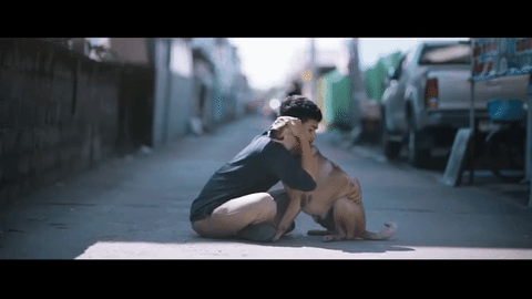 Abrazo canino