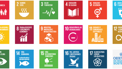 17 universidades han colaborado ofrecer MOOC para educar sobre los Objetivos de Desarrollo Sostenible y cómo pueden contribuir a lograrlos.